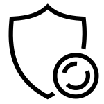 Shield Coin SVG Icon
